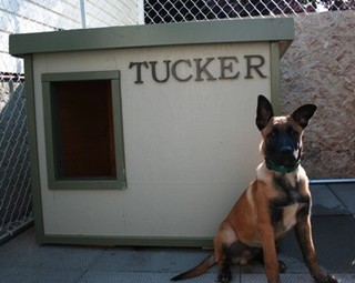 Tucker - Alberta, Canada